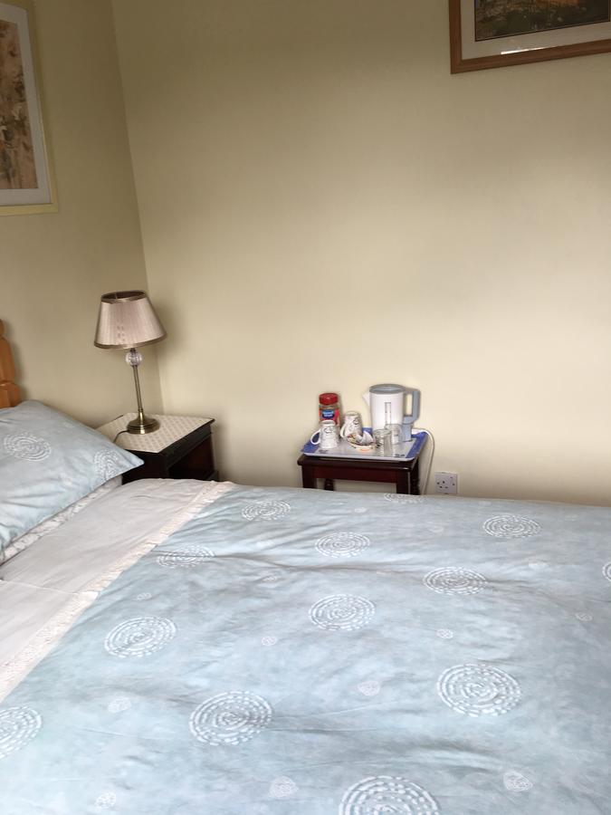 Palm Grove B&B Cashel (Tipperary) Bagian luar foto