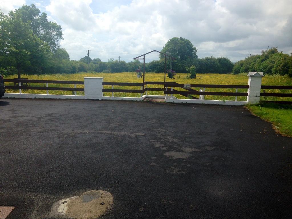 Palm Grove B&B Cashel (Tipperary) Bagian luar foto
